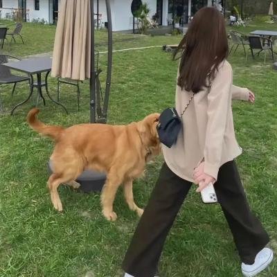 保姆的黑皮书